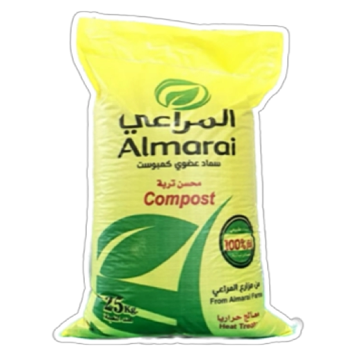 علي شير